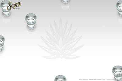 Sauza Tequila Shot Glasses