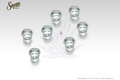 Sauza Tequila Shot Glasses