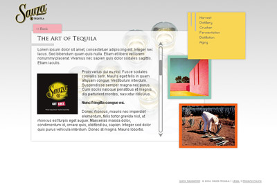 Sauza Tequila Shot Glasses